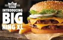 Màn cà khịa đối thủ của chiến dịch Burger King - ‘We love “Big”’
